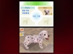 Nintendogs: Dalmatian & Friends (DS) требования: Платформа Nintendo DS Видеоролик инфо 13562a.