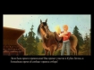 Horsez Стань чемпионом Компьютерная игра DVD-ROM, 2009 г Издатель: Новый Диск; Разработчик: Phoenix Interactive пластиковый Jewel case Что делать, если программа не запускается? инфо 3678a.