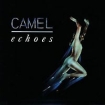 Camel Echoes The Retrospective (2 CD) Формат: 2 Audio CD Дистрибьютор: Decca Лицензионные товары Характеристики аудионосителей 1993 г Альбом: Импортное издание инфо 7062d.